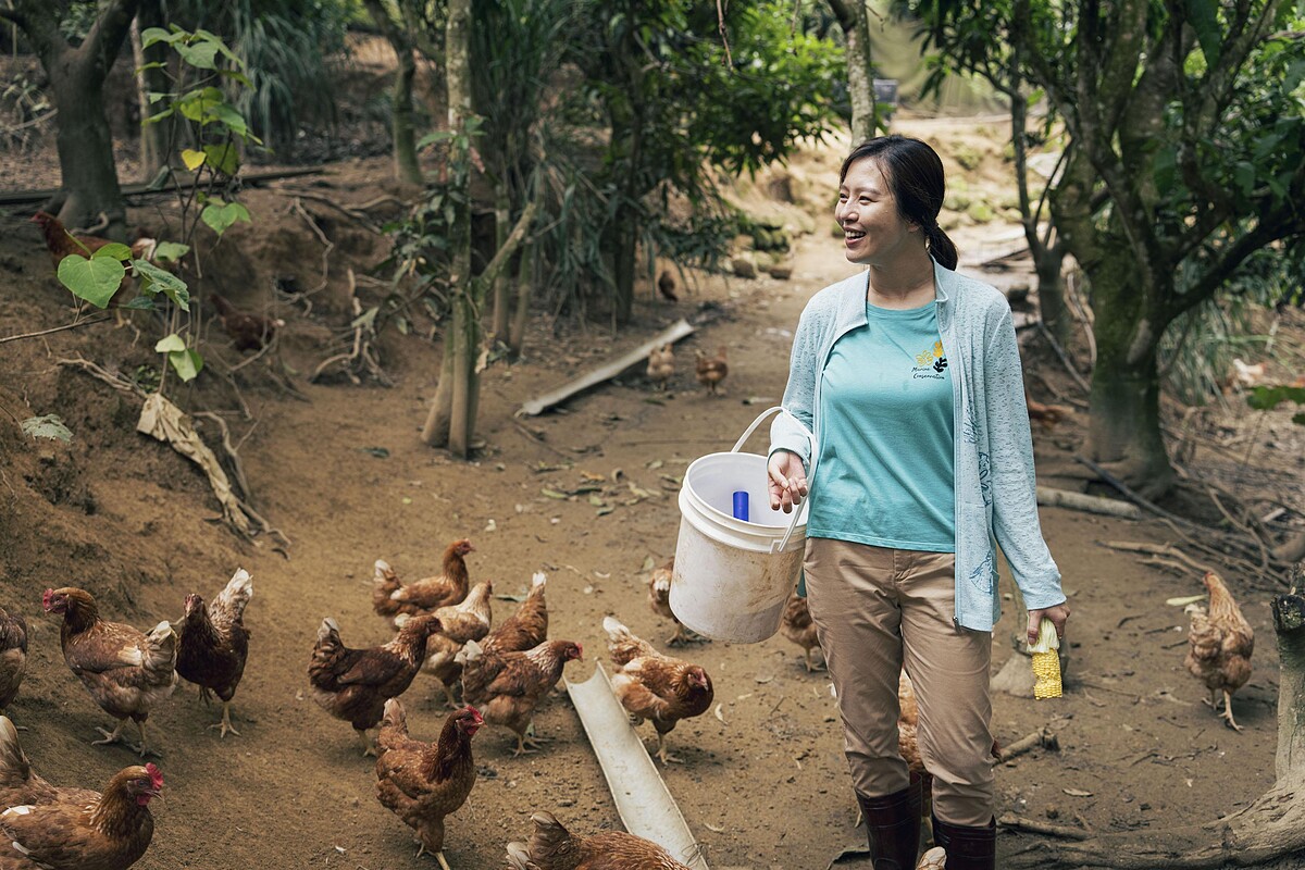 主題曲〈莎莉 Salli〉敘述由劉品言飾演的女主角,從樸實的農村生活遠赴法國的浪漫追愛故
