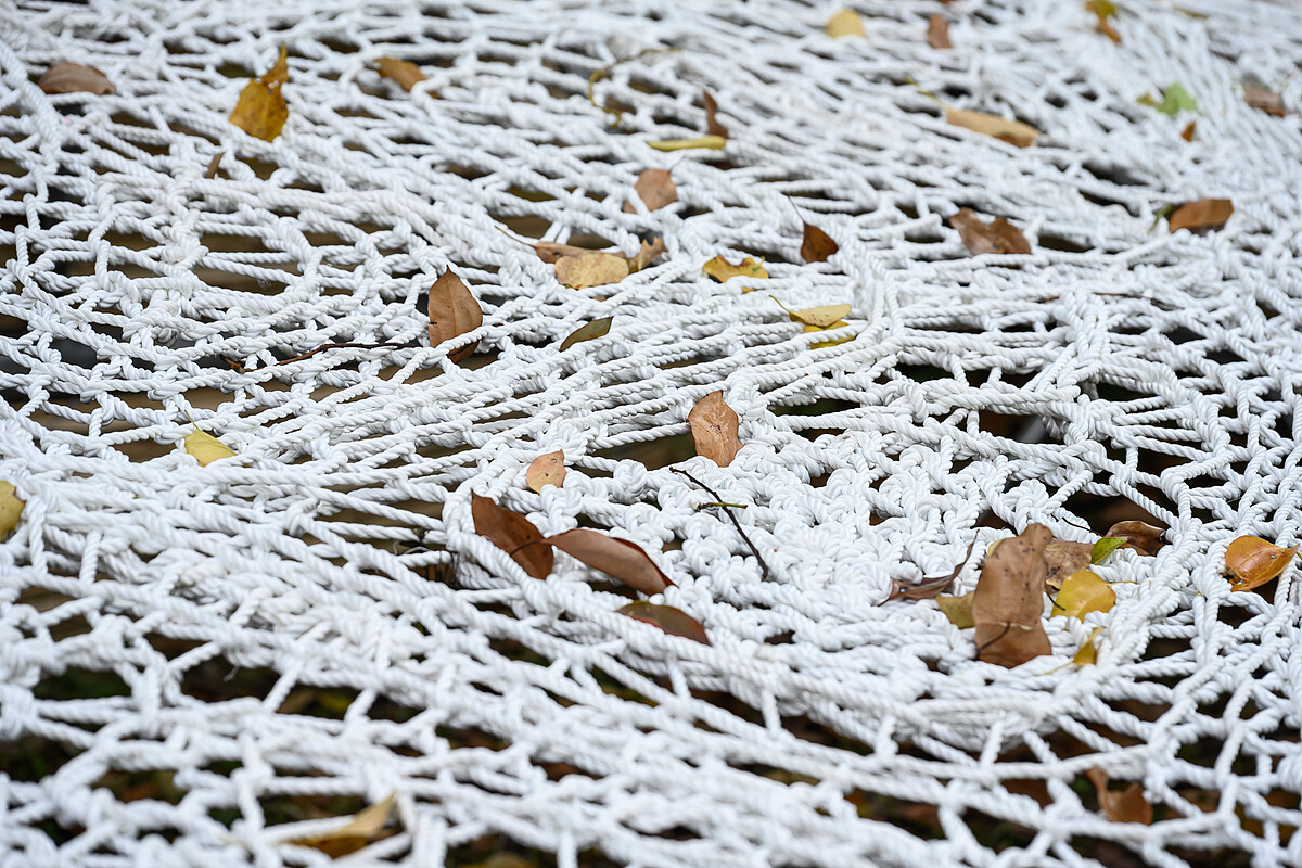 《2024粉樂町》安聖惠_葉上飄風