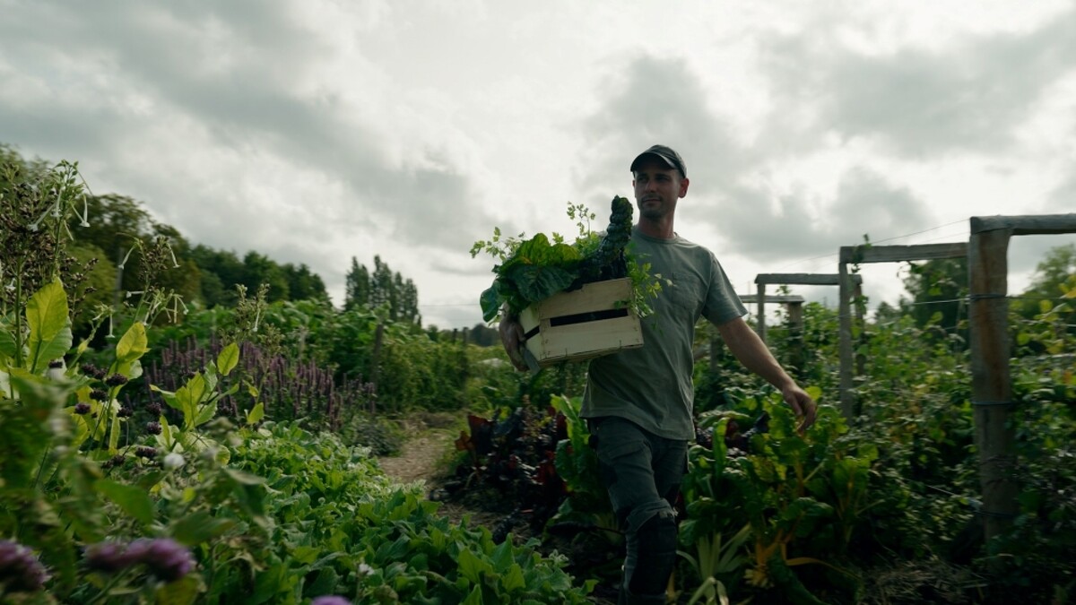 THE MILLIÈRE VALLEY米利埃谷Jardin des Partages共享花園創建者-湯姆&middot;亞祖-貝童(Tom Arthus-Bertrand)。