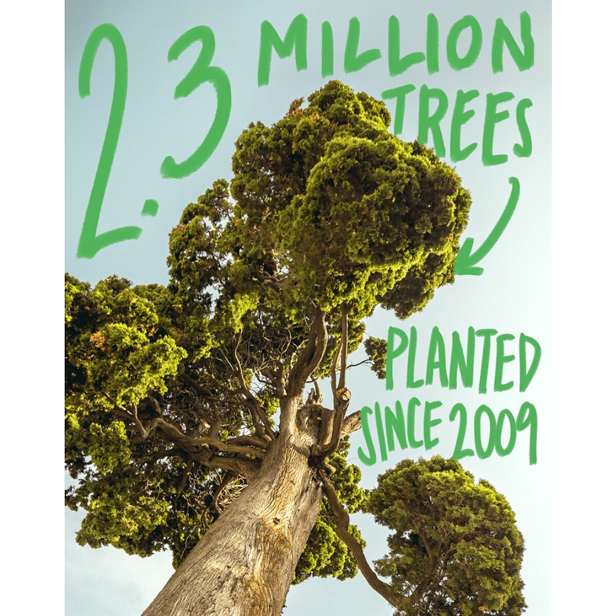 品木宣言全球植樹主視覺。