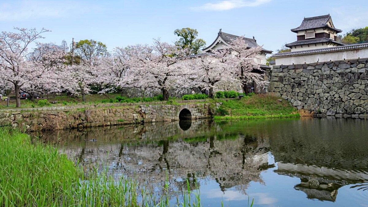 Photo／福岡県観光情報
