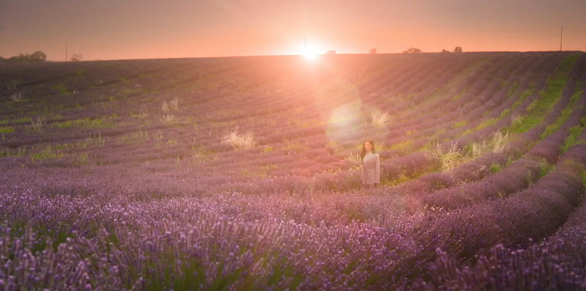 洪海仁的幻象薰衣草田，象徵&rdquo;我在等你&rdquo;、&rdquo;幸福到來&rdquo;的寓意
