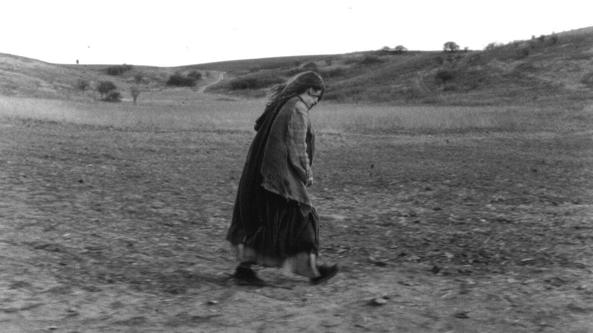 貝拉・塔爾的《都靈之馬》(The Turin Horse)是其職涯最後一部長片作品,曾榮獲柏林影展評審團銀熊獎與影評人費比西獎