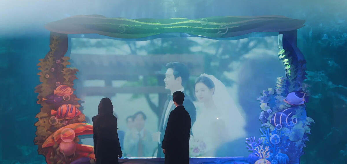 洪海仁被自己超前部屬向白賢佑&rdquo;要求婚&rdquo;給驚呆了