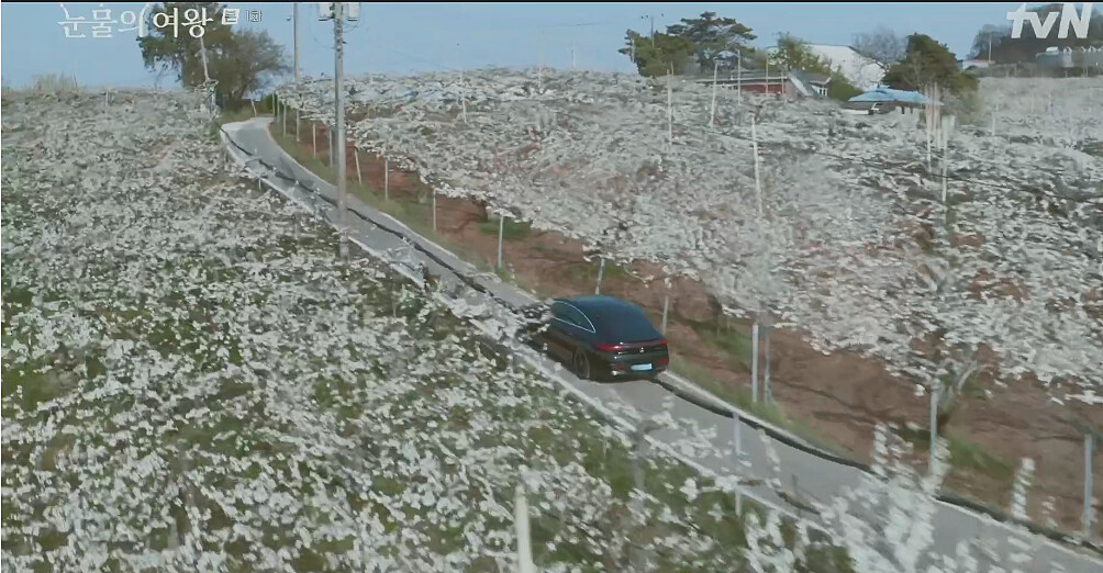 Photo/翻攝自tvN。