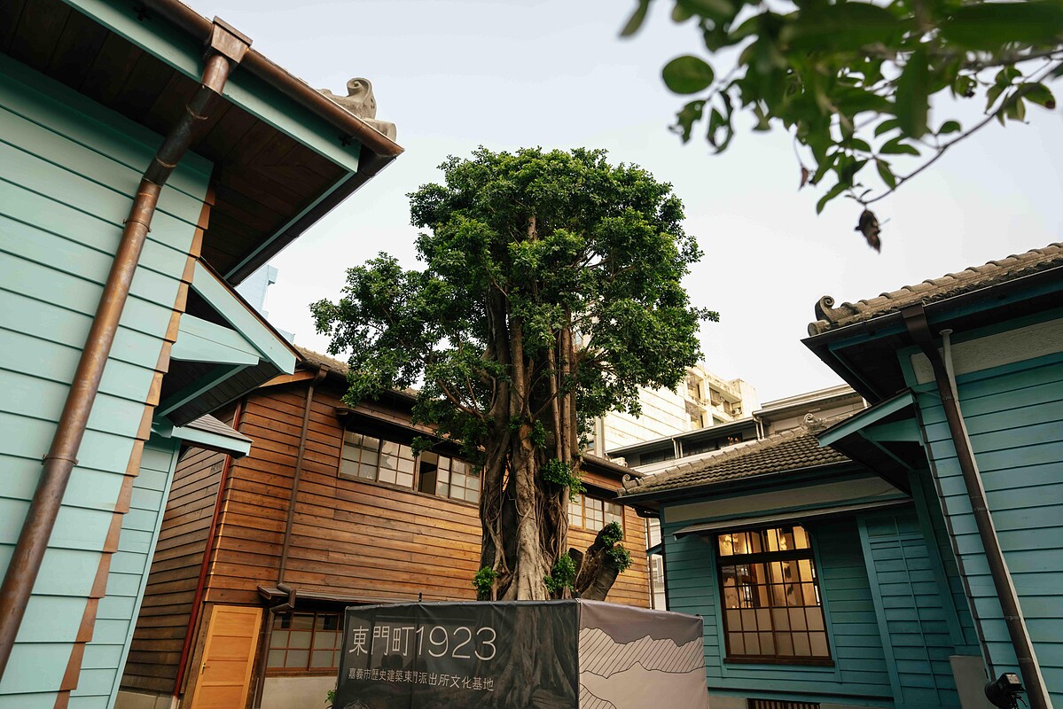 庭院中的百年榕樹，陪伴著「東門町1923」度過一世紀。（圖片提供／留白計畫）