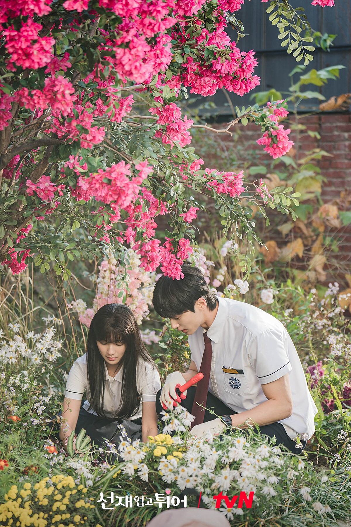 任率為以防萬一，帶善宰埋時空膠囊，交代2023年才能打開