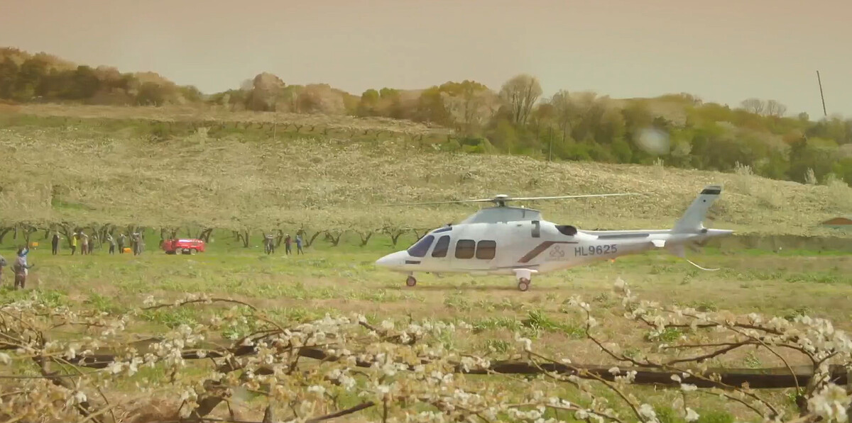 女王的直升機飛到龍頭里、降落梨樹田