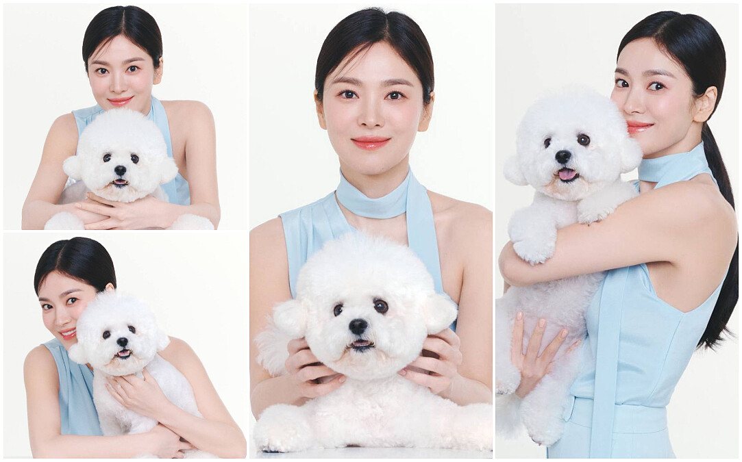 宋慧喬與愛犬Ruby