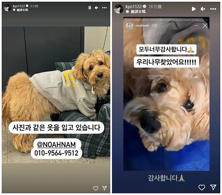 宋慧喬貼文協尋朋友愛犬