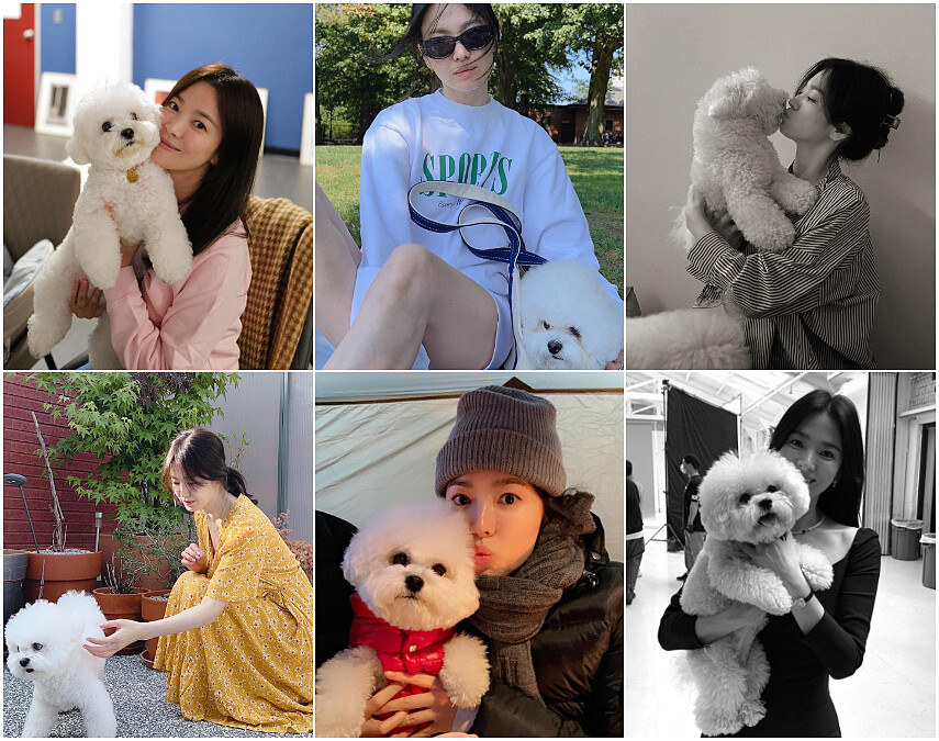 宋慧喬緊黏愛犬Ruby