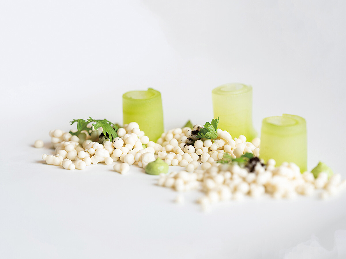 主廚最知名的菜色之一「後院」，他將小黃瓜化為餐盤上的主角，加上分子料理的手法，呈現西班牙本店後花園的畫面。