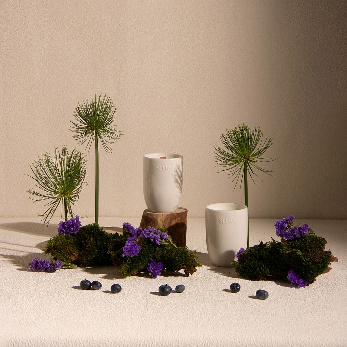 SLLIG居家職人陶瓷香氛大豆蠟燭(野林WILD GROVE)140g，NT1,980