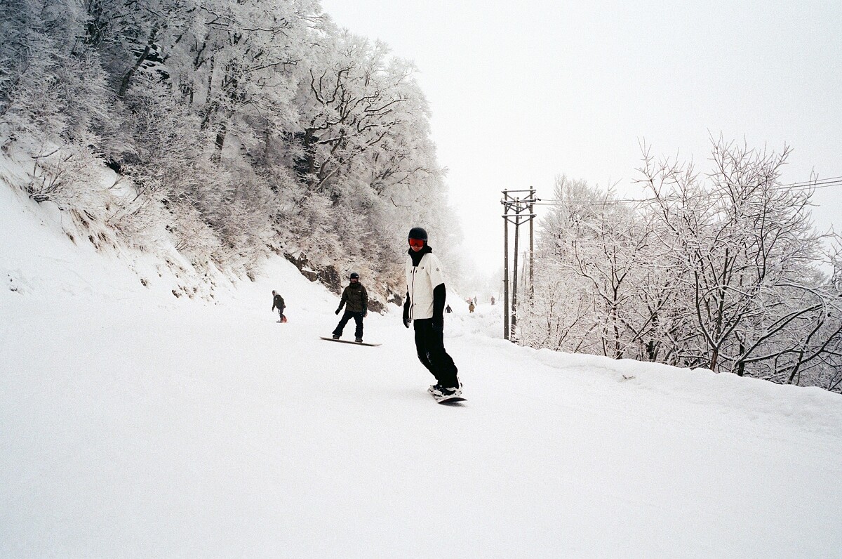 這裡的樹林滑道數量為日本第一。
