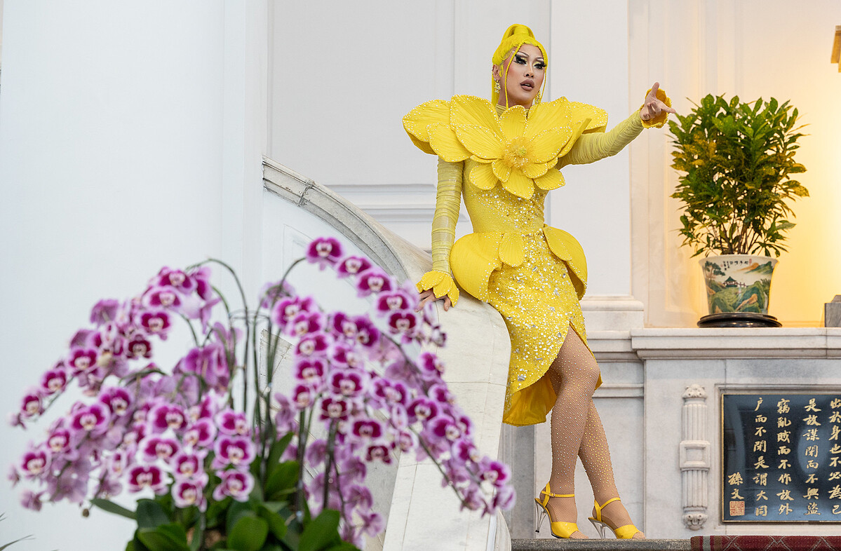 妮妃雅於總統府表演