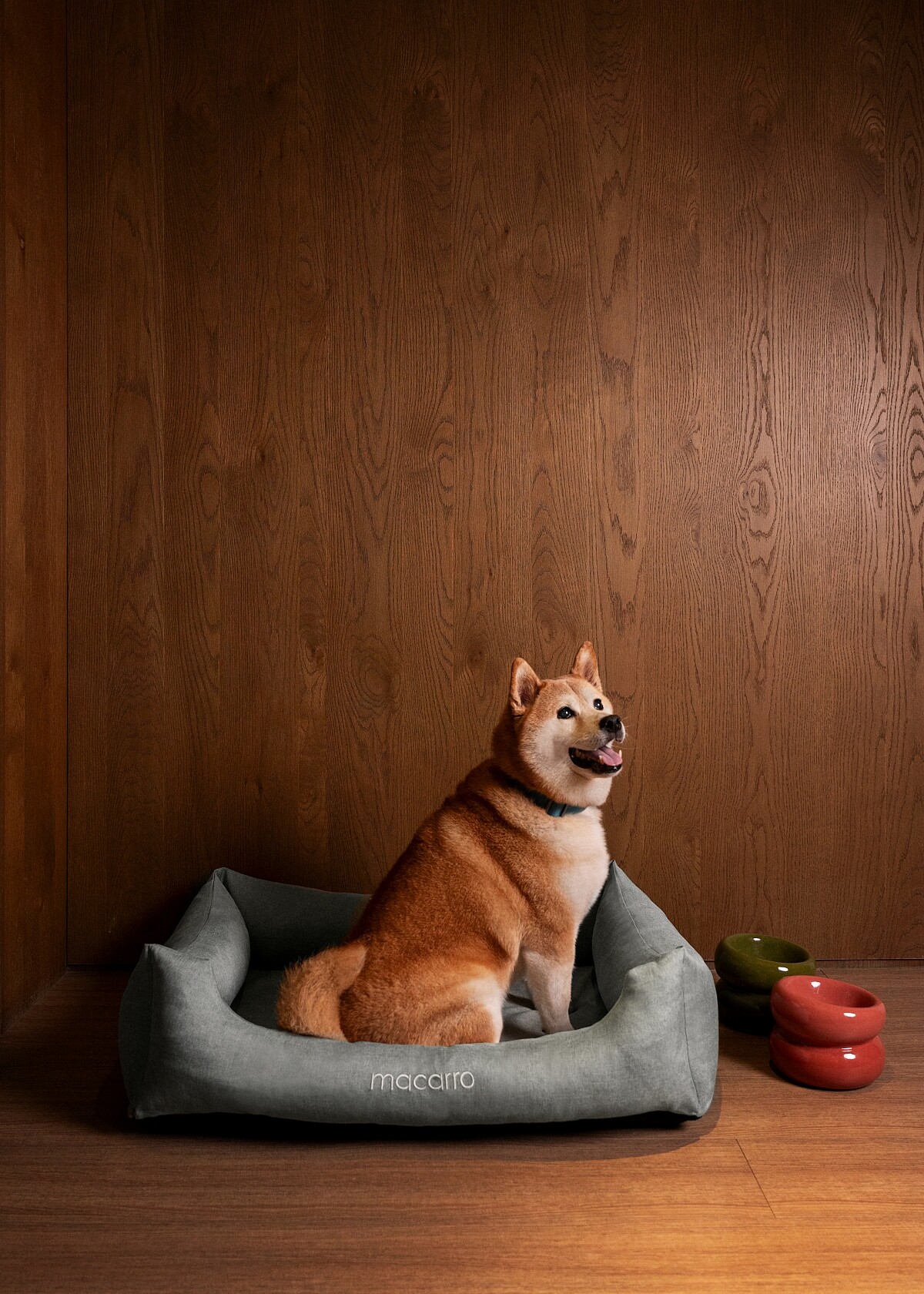 大安 EPISODE 歡迎賓客攜帶毛小孩入住。