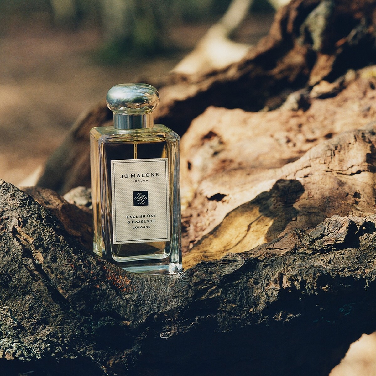 Jo Malone London英國橡木與榛果香水0ml，NT2,800、100ml，NT5,600