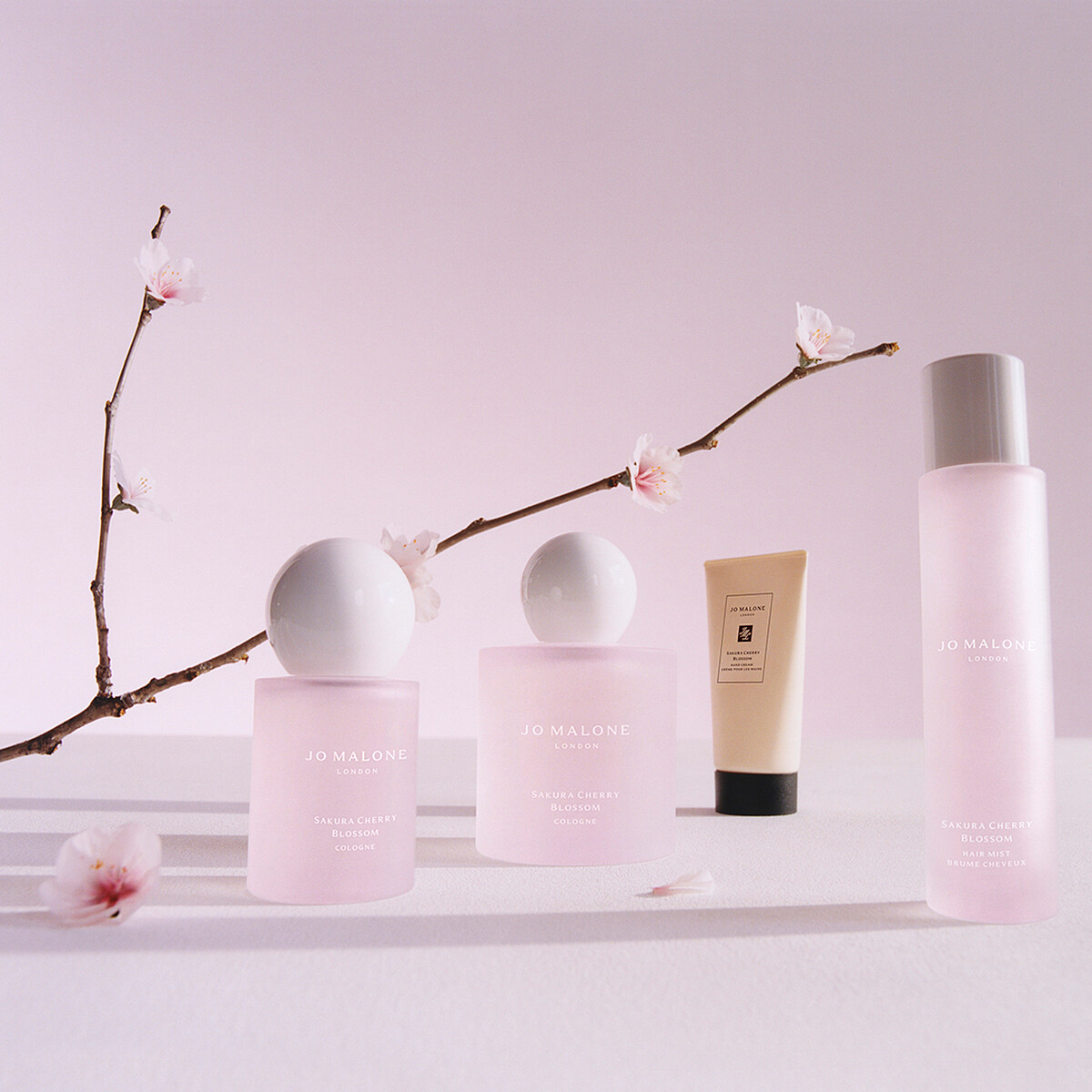 Jo Malone London 2024櫻花香氛系列限量登場。