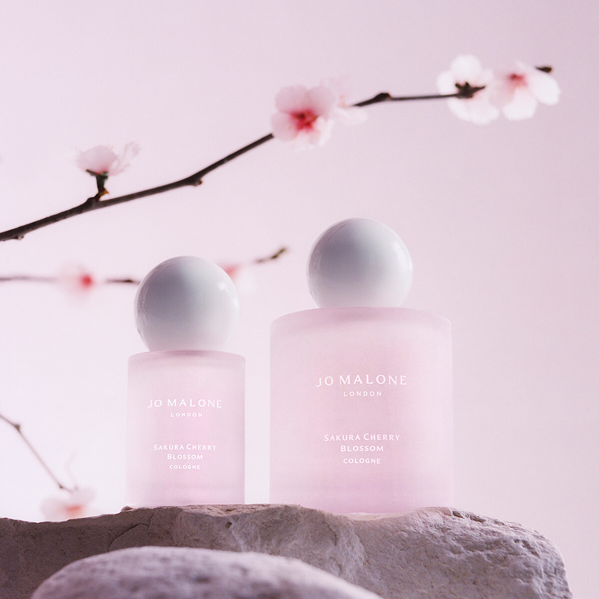 Jo Malone London櫻花香水30ml，NT2,950、100ml，NT5,900