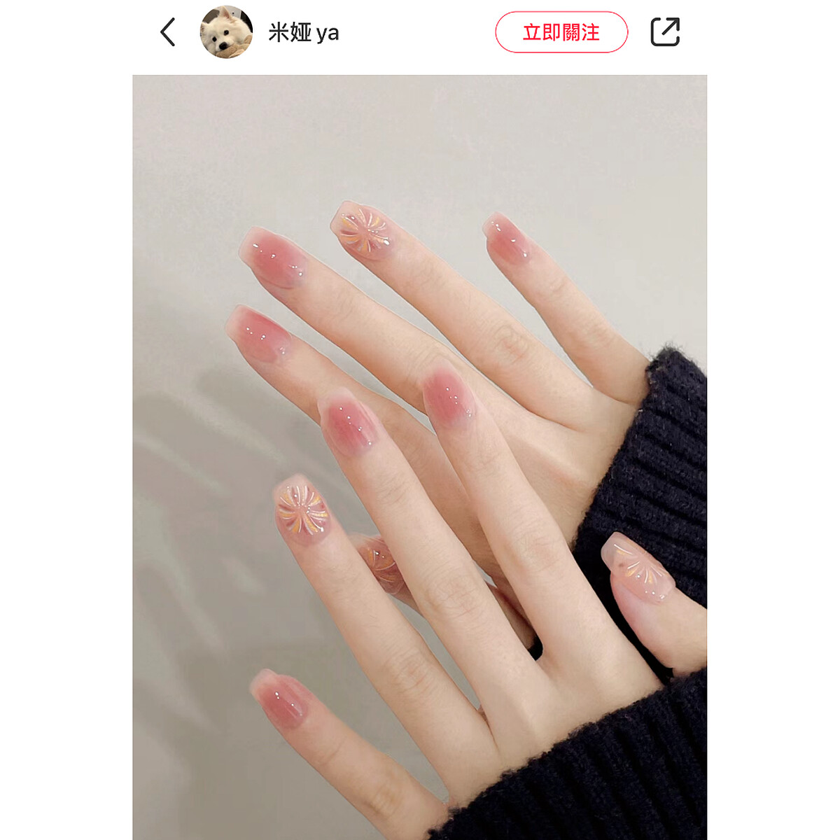 Photo/小紅書@米婭ya