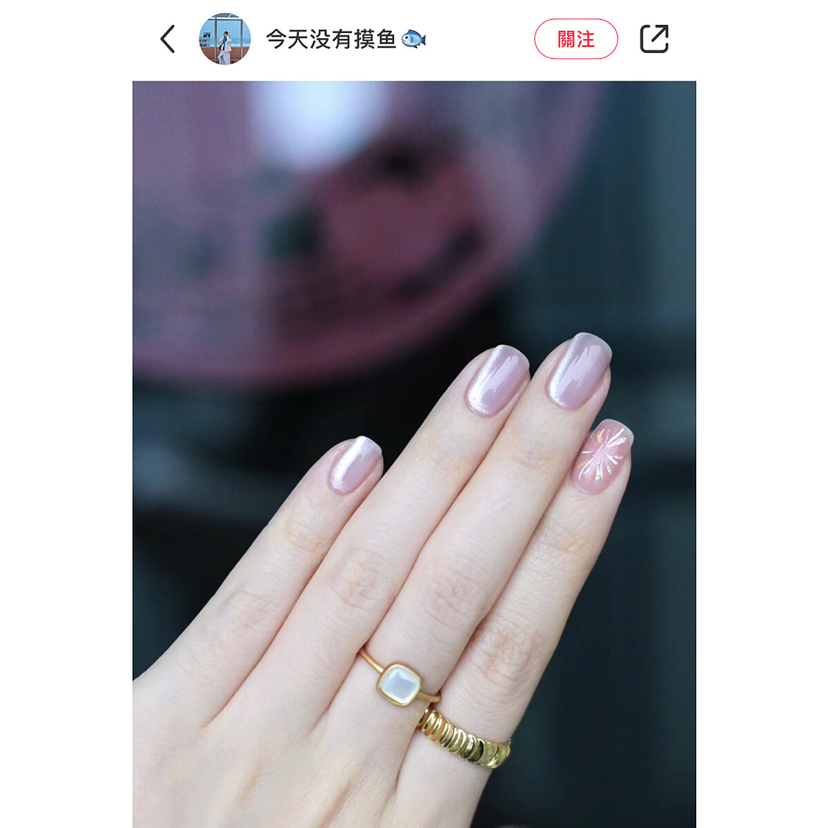 Photo/小紅書@今天沒有摸魚