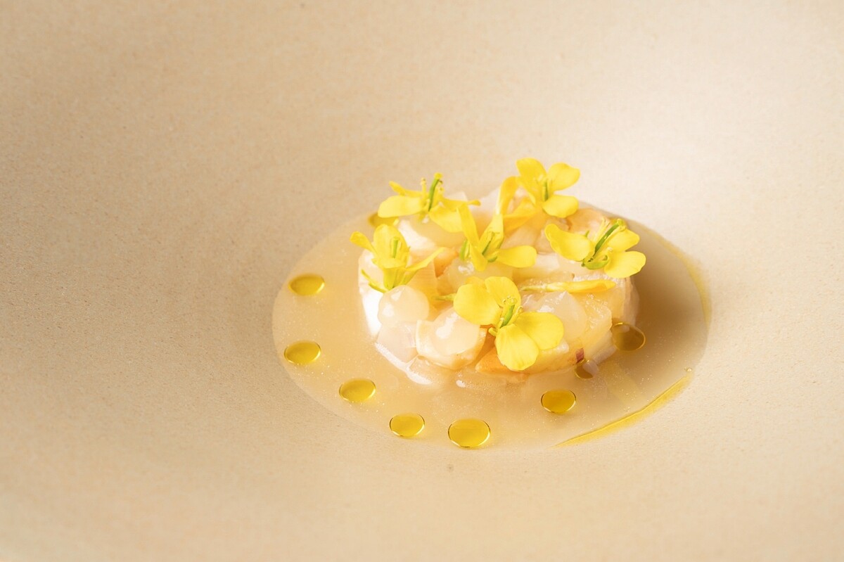 海鮮前菜「干貝水生魚片 Scallop 'Mul-hoi'」。