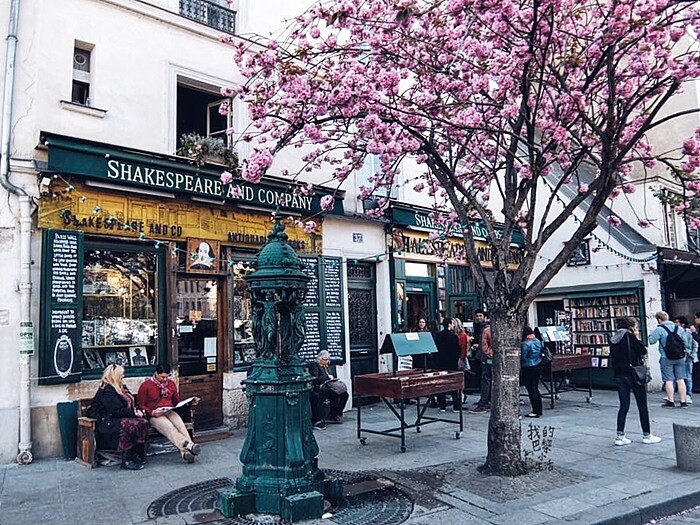 書店前櫻花樹盛開時的照片