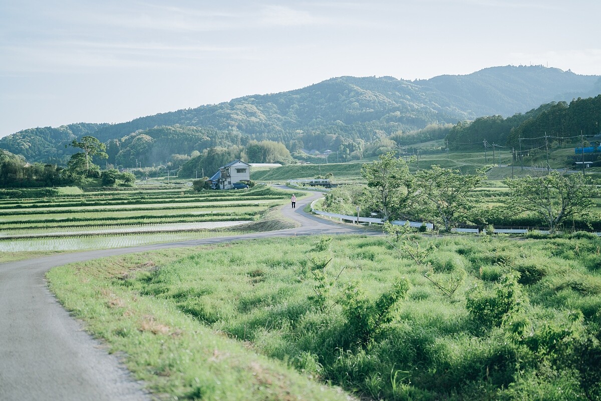 位在千葉房總半島南部&mdash;鴨川市，是個被低估的旅遊目的地。