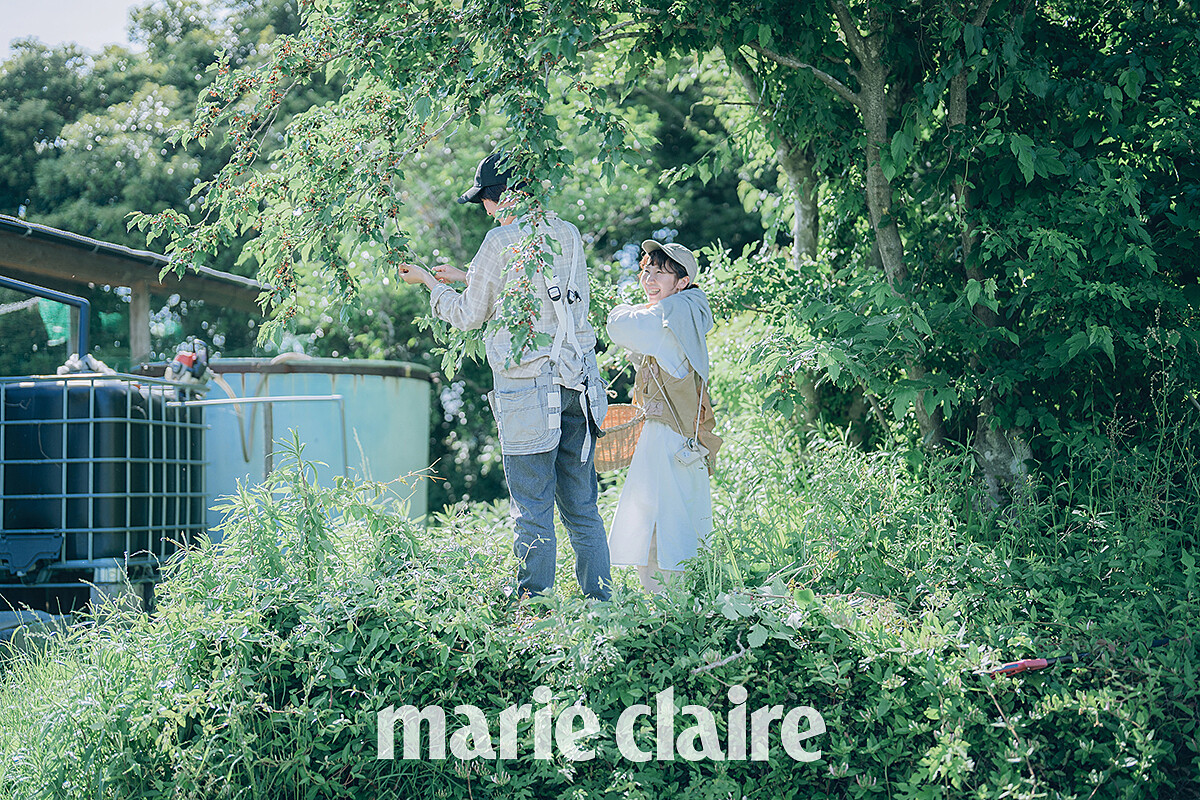 「苗目」就像是一個自足的農莊。