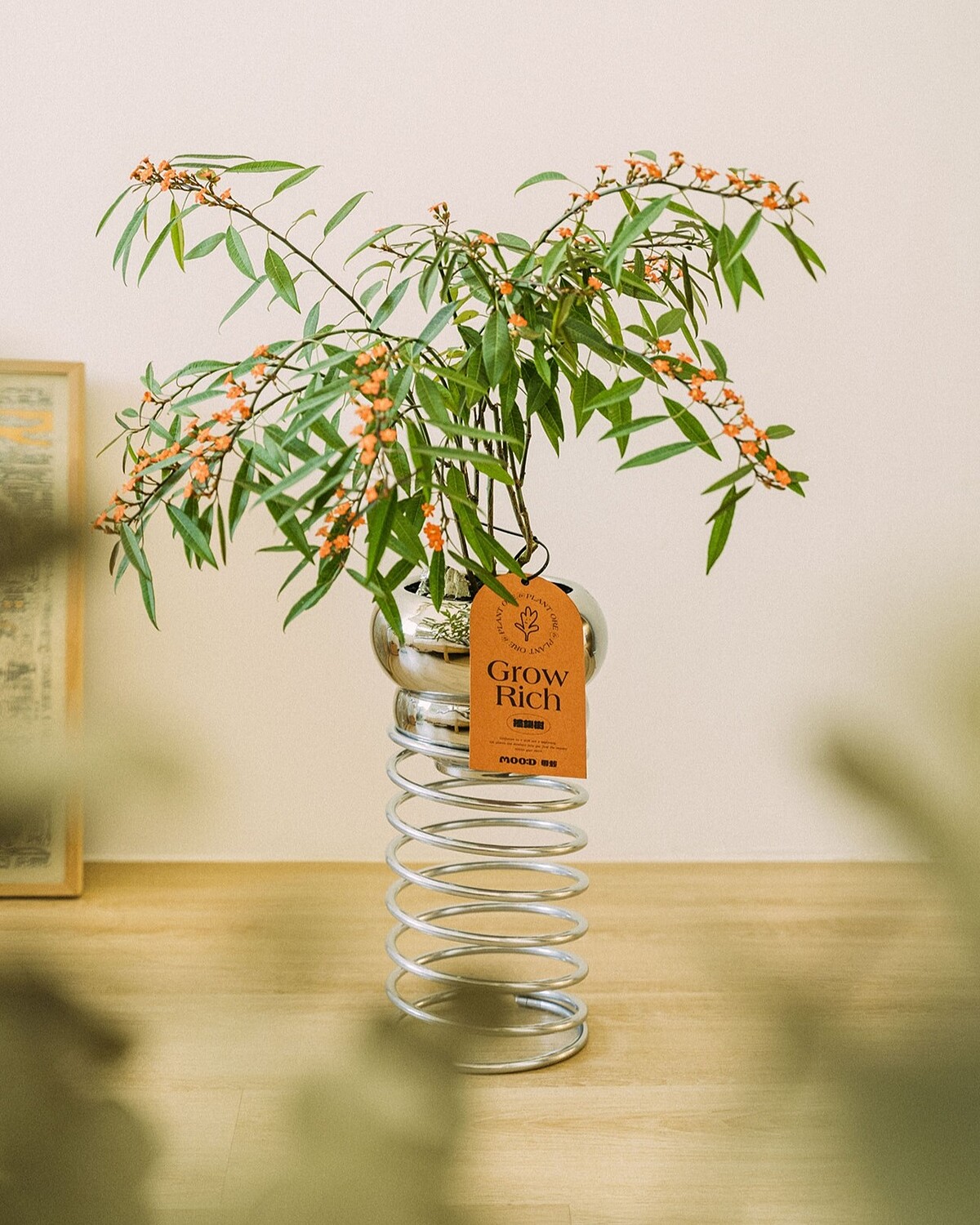 │草系寶貝│植物專賣品牌「母栽」