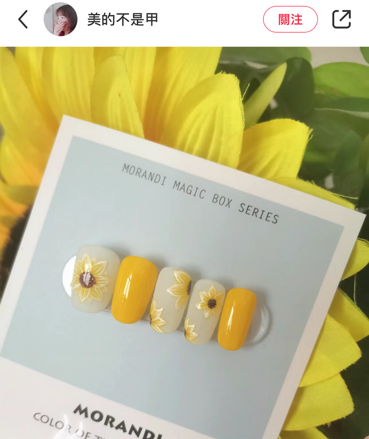 Photo/小紅書@美的不是甲