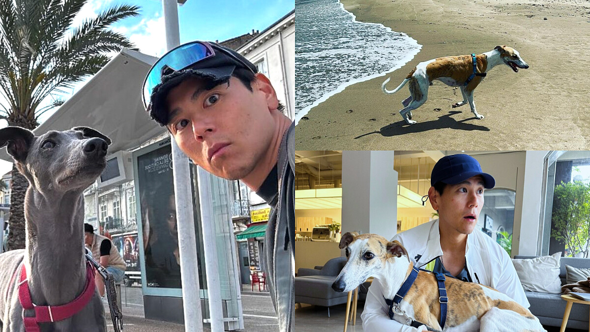 【大明星去哪玩】彭于晏私房景點都在這！領養3隻毛孩背後故事藏洋蔥