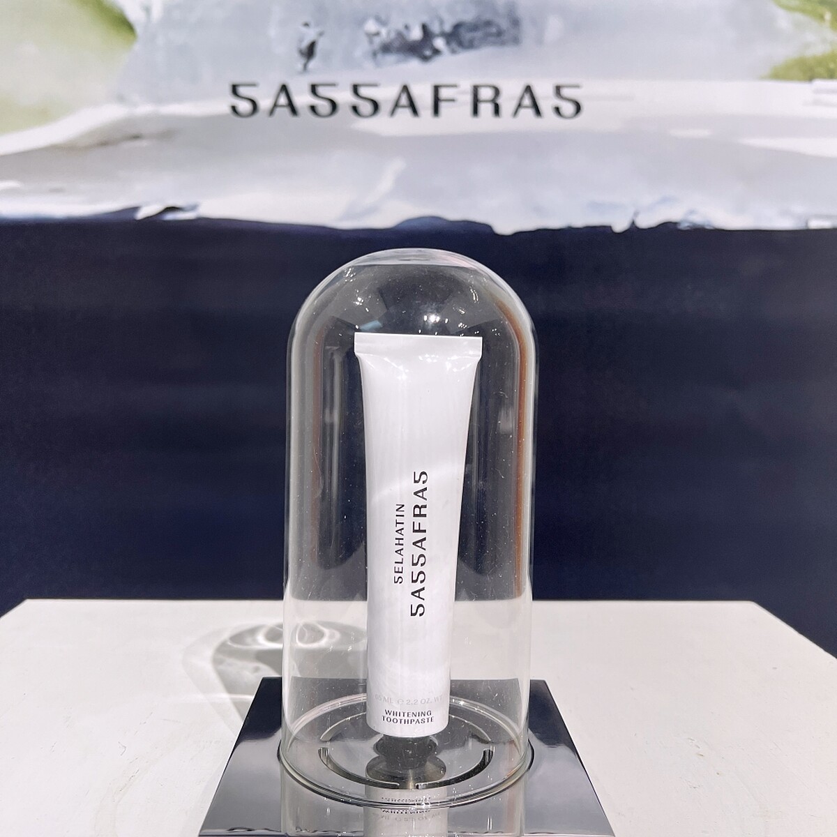 SELAHATIN Sassafras治癒之森牙膏65ml，NT420