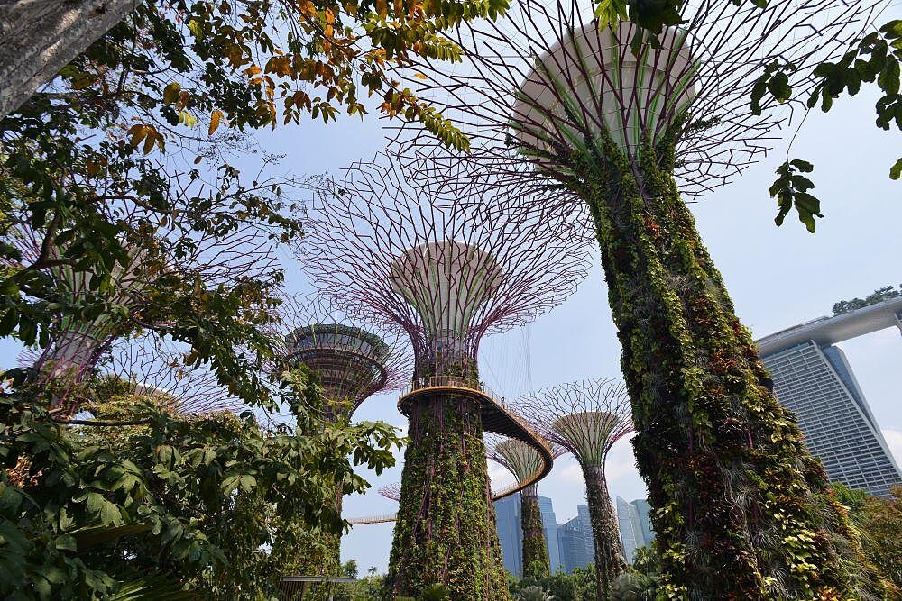 圖片版權 / ⓒGenting Dream