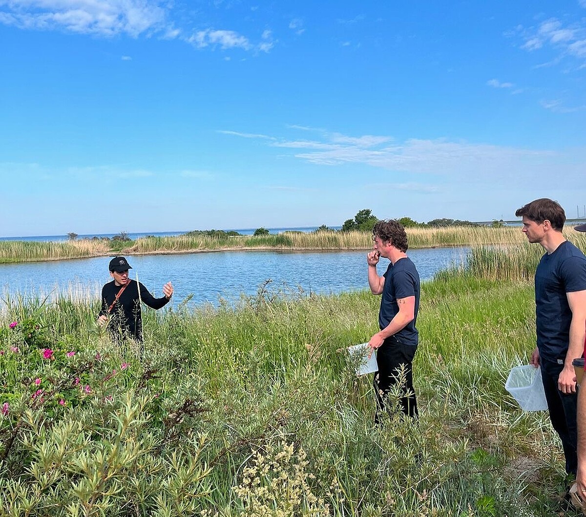 第三季來到「Noma」取景。