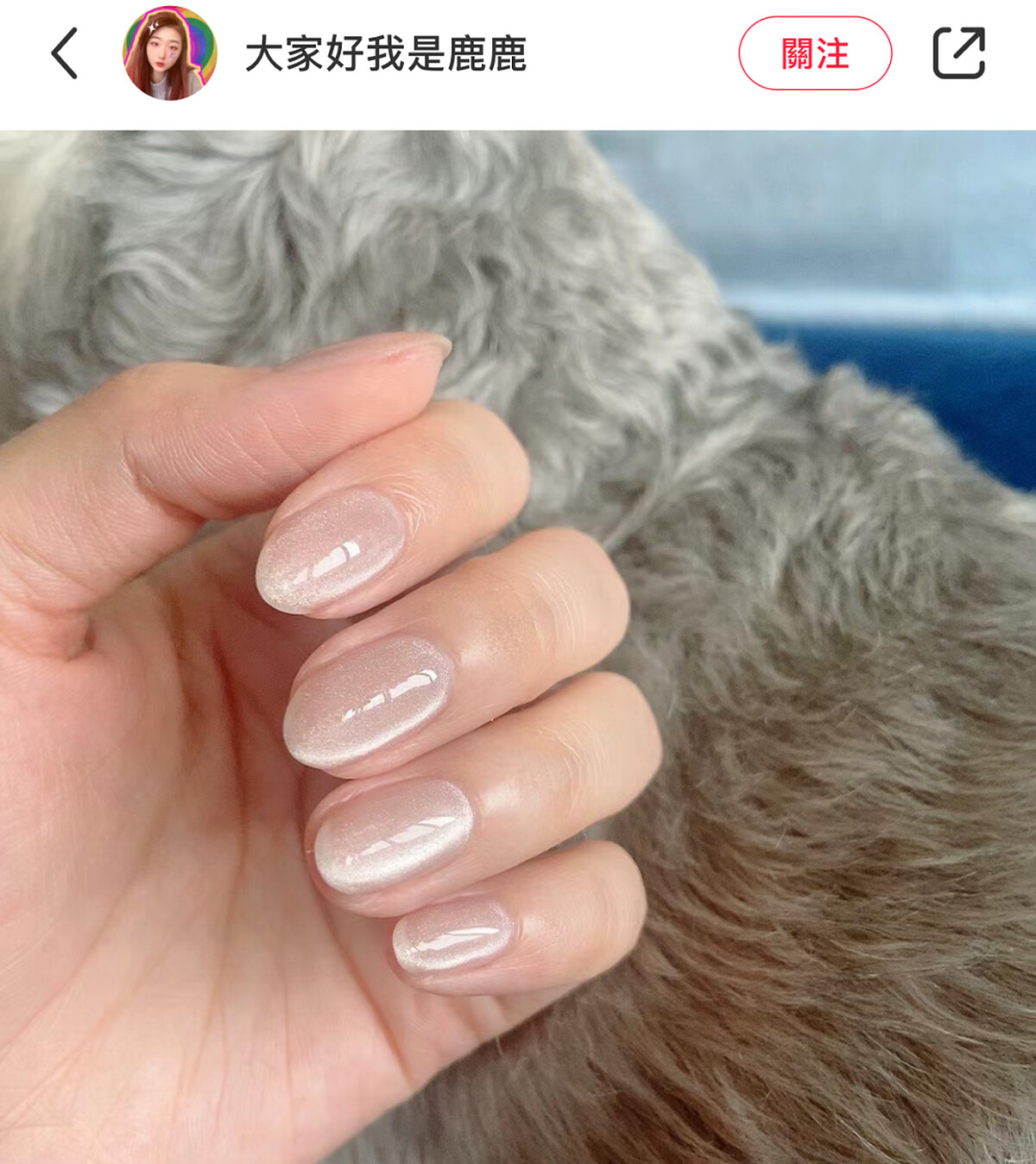 Photo/小紅書@大家好我是鹿鹿