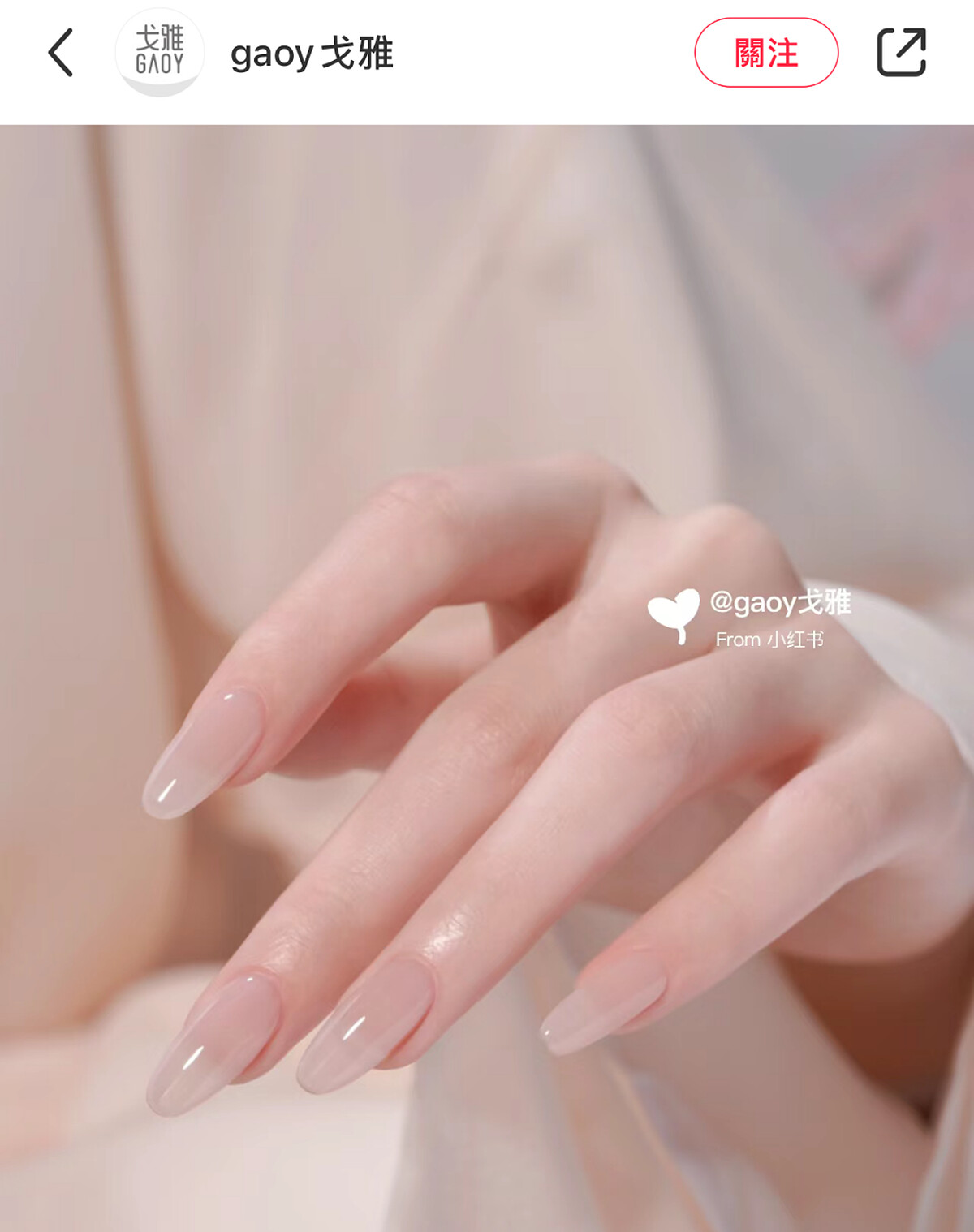 Photo/小紅書@gaoy戈雅