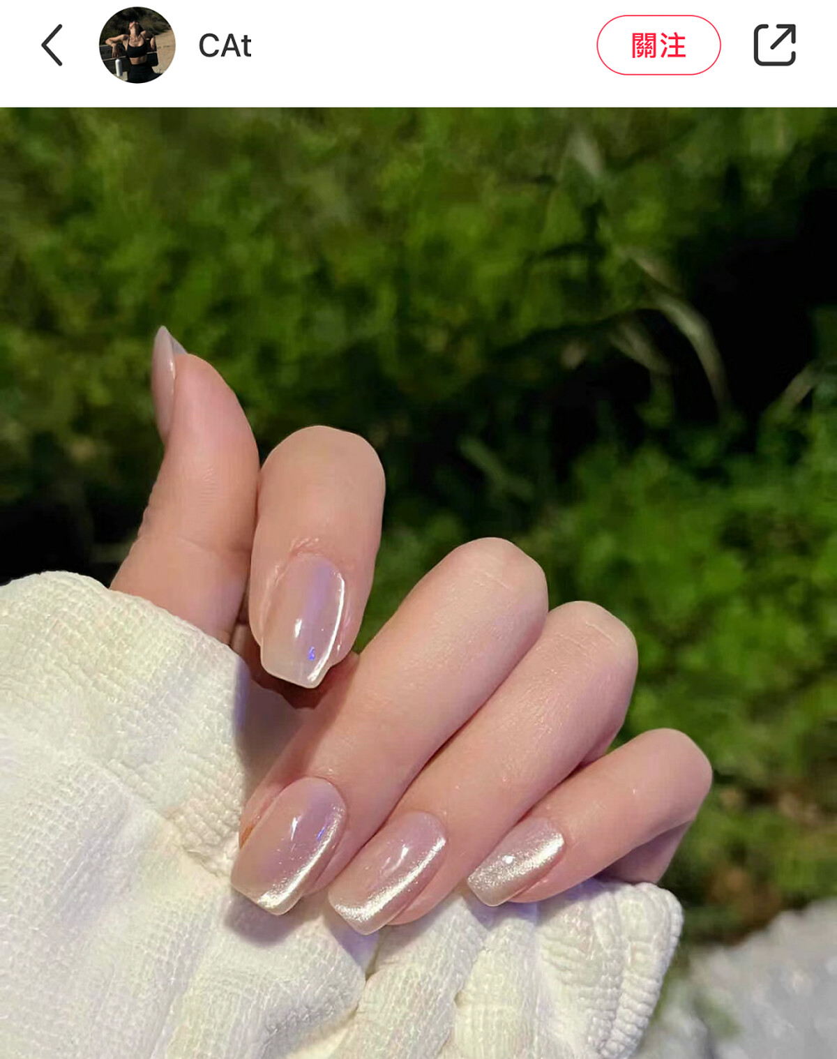 Photo/小紅書@CAt