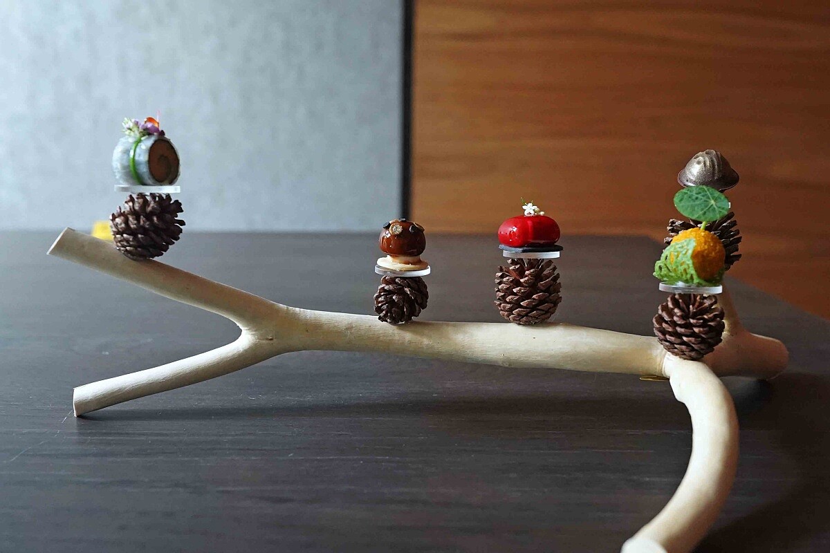 谷關的樹枝以多重分叉的形態成為最天然的器皿。