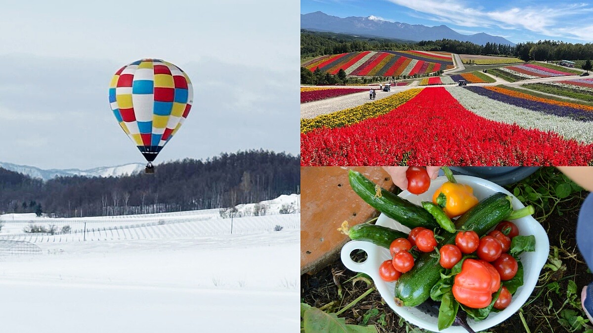 還能預約熱氣球、四季彩之丘花田、蔬果採摘體驗