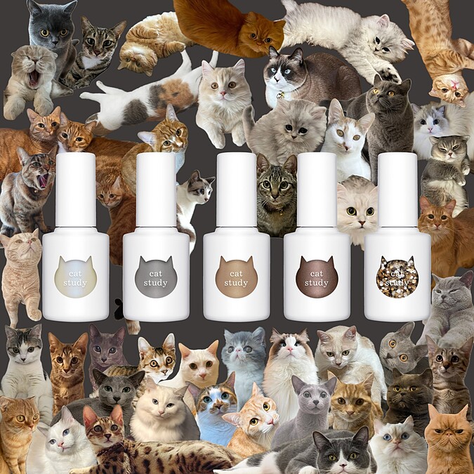 uka Cat Study貓咪漫步系列指甲油視覺圖(圖片提供/10/10 HOPE)。