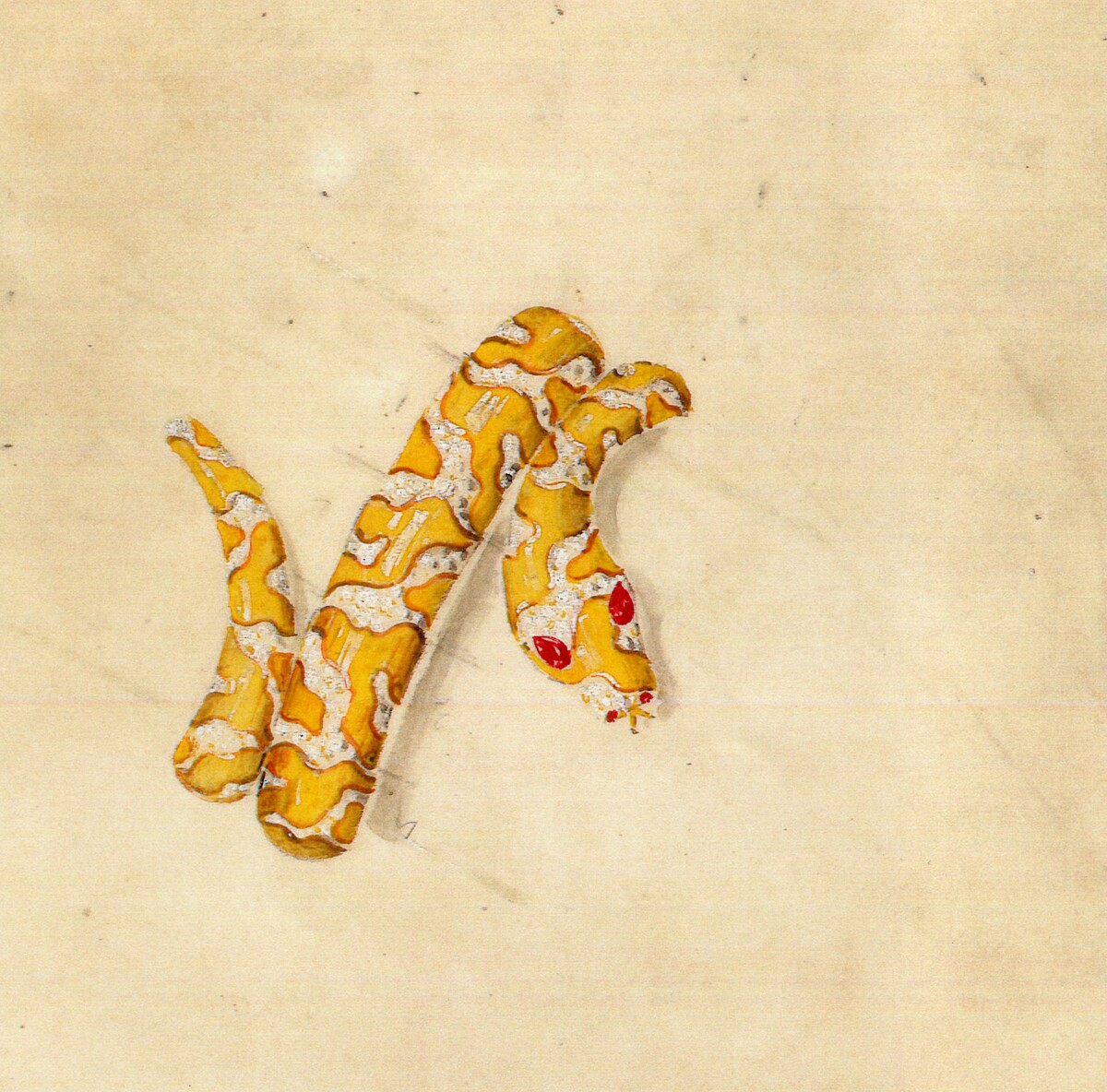 SERPENTI 古董手繪草圖。