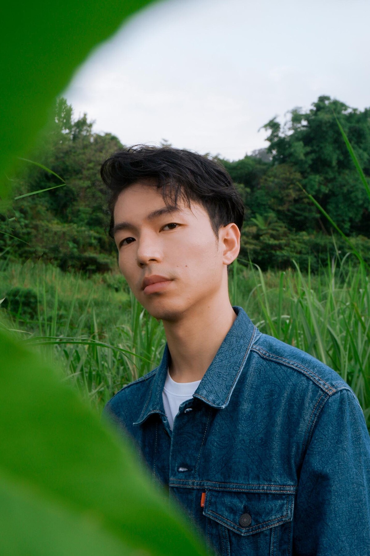 鄒序