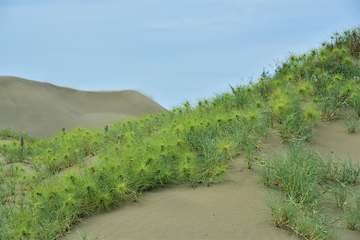 超級適合拍時尚大片的場景。