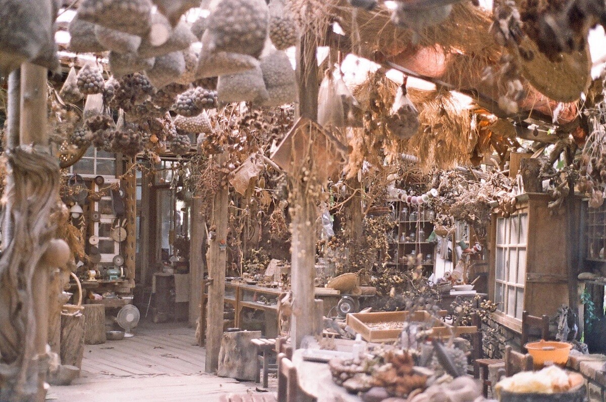 簡直再現了宮崎駿電影的場景。