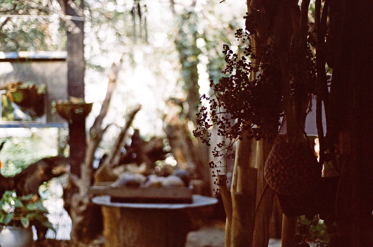 私人經營的千畦種子博物館為預約制。