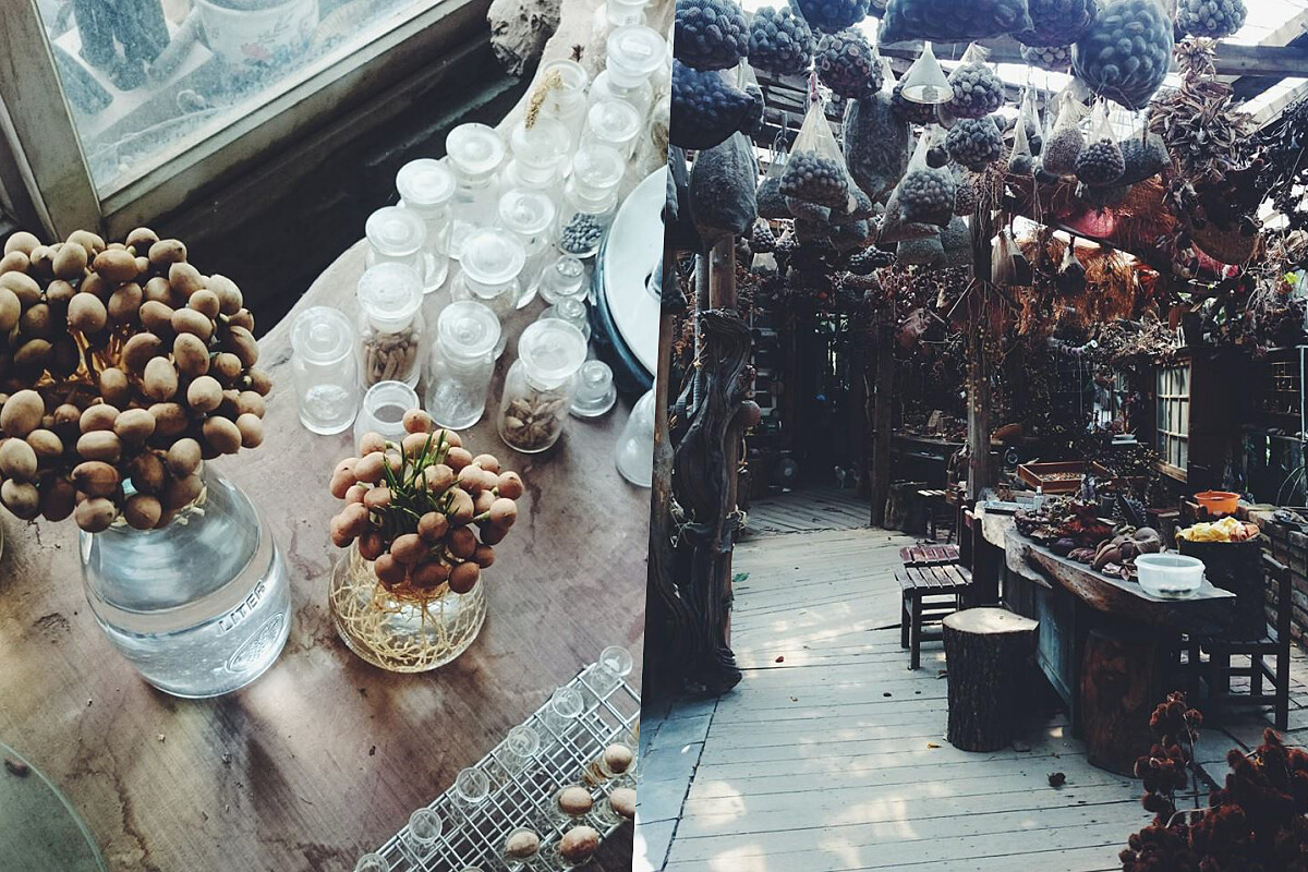 隨手一拍都是美好即景。