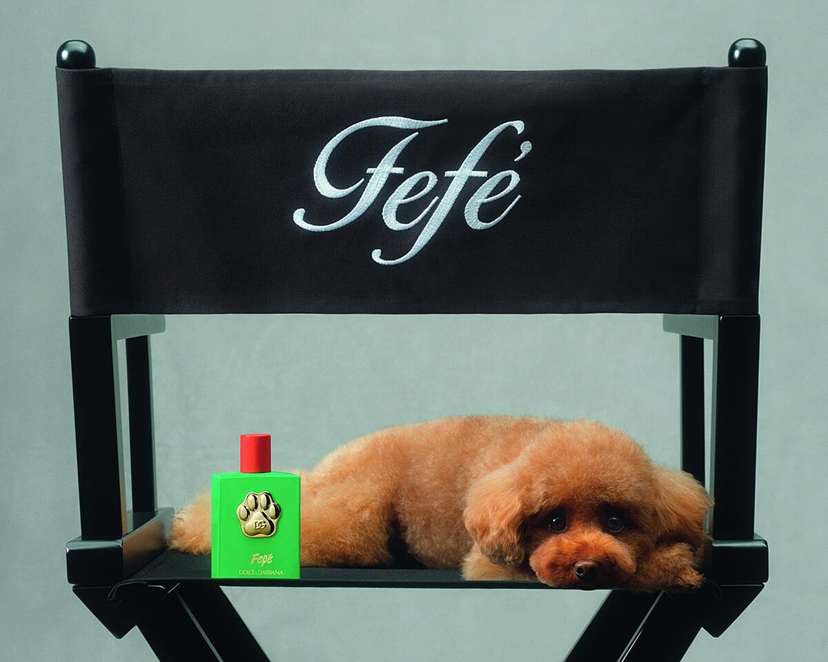 Dolce&Gabbana Fef&eacute;香氛噴霧情境圖。