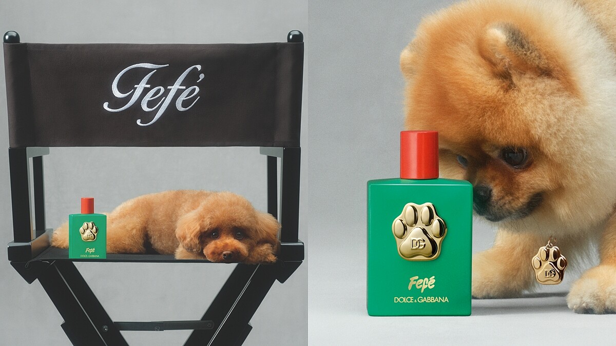 Dolce&amp;amp;Gabbana竟然推出狗狗香水！無酒精的Fefé香氛噴霧，讓狗狗聞了也有好心情