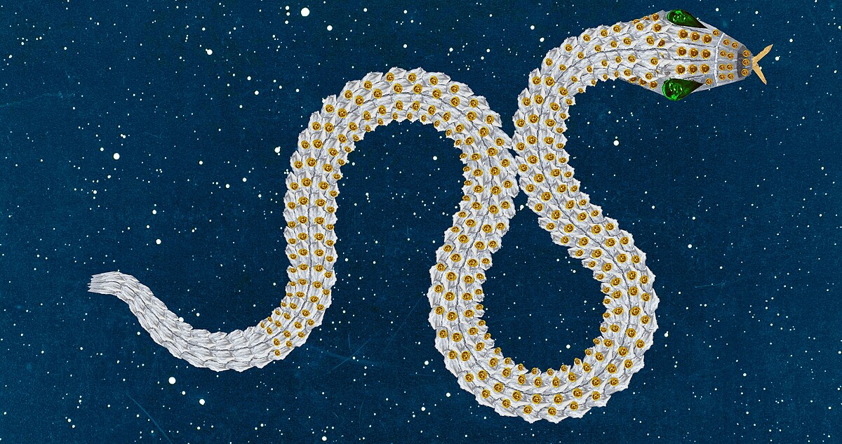 《光之種子》，吳俊勇。